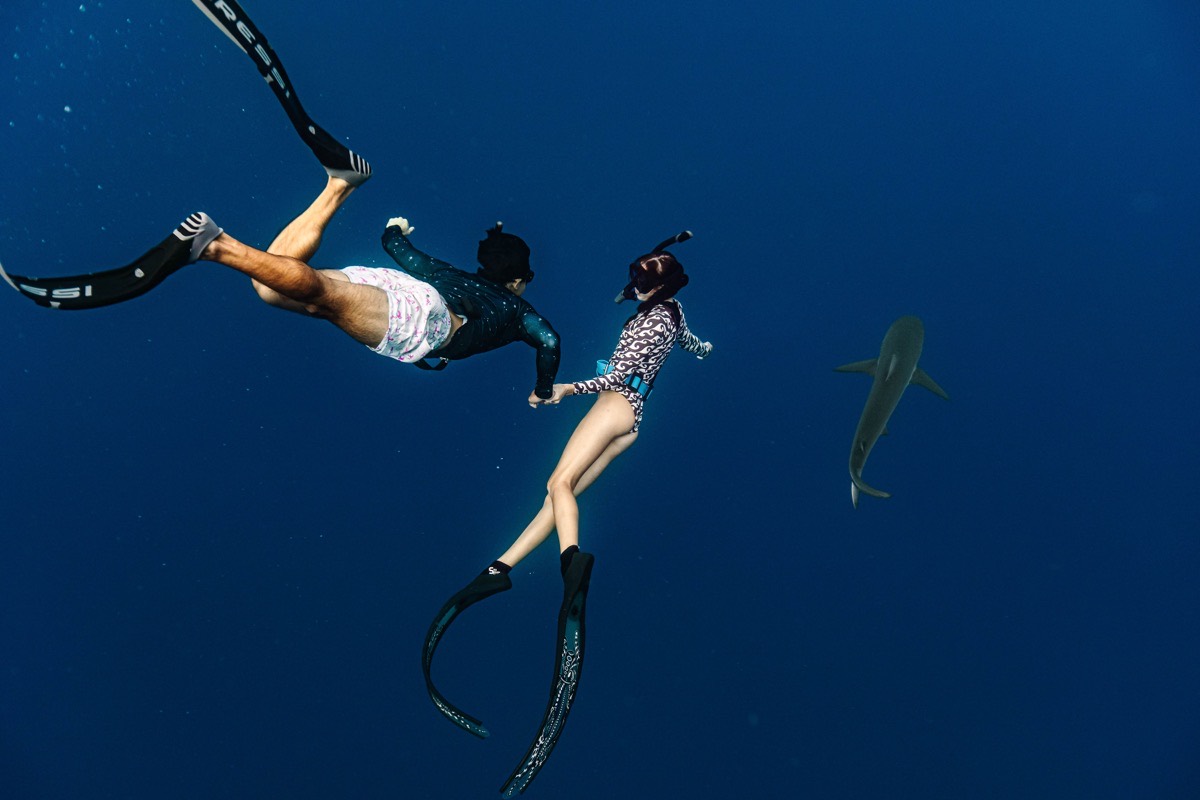 Diving the deep blue with my partner as a reef shark passes by