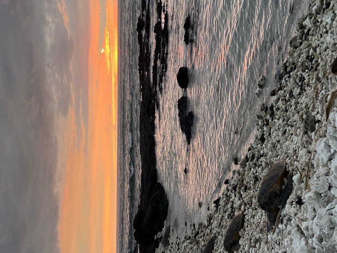 Golden-hour shoreline, windward Oʻahu
